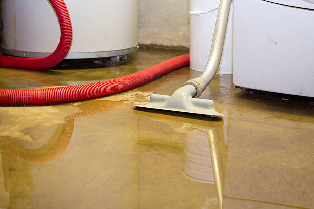 Best Mold removal after water damage  in Kapolei, HI